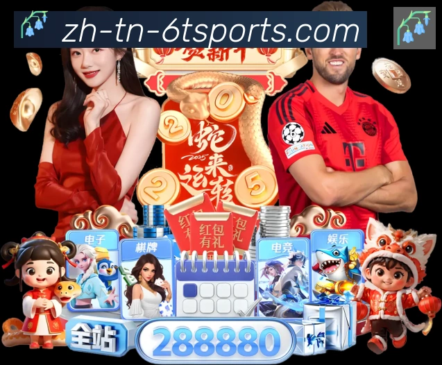 6t体育荣誉